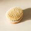 Body massage brush