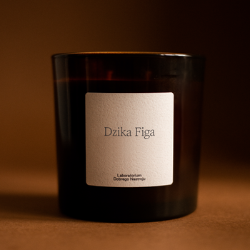 Dzika figa - świeca sojowa 400ml