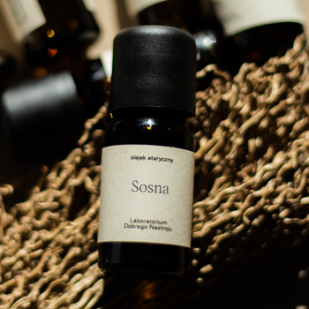 Sosna - olejek eteryczny